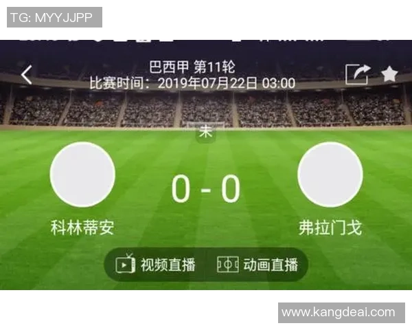 巴西杯激战法林明高对决哥连泰斯精彩赛事前瞻与分析